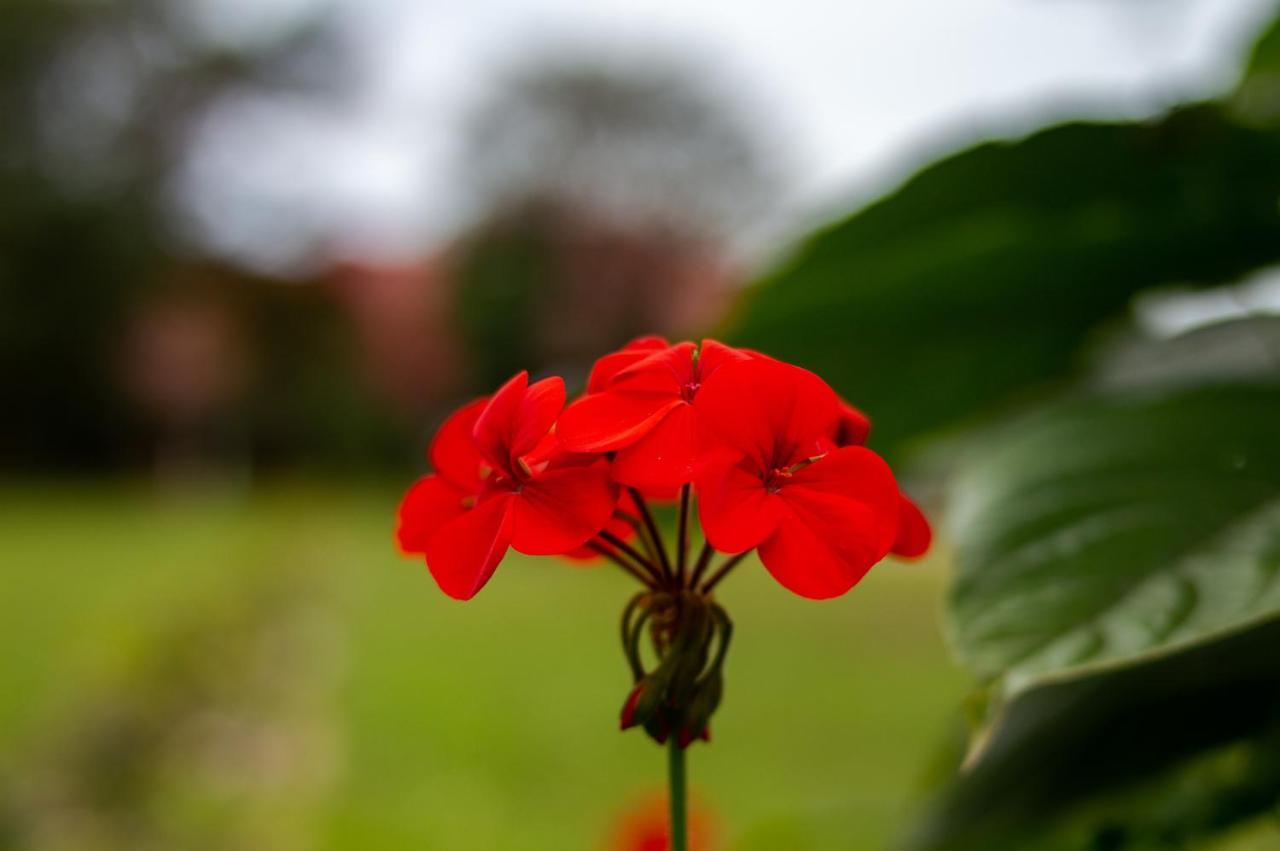 Pousada Rio Vermelho Florianópolis Exteriér fotografie